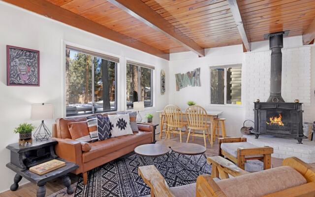 THE Bear Bauhaus #2106