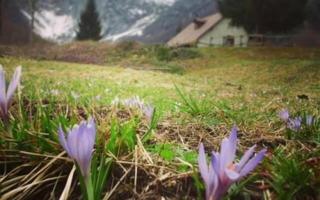 Agriturismo Pian Dei Tass