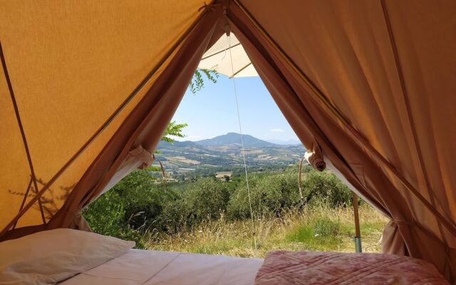 Glamping at an Agriturismo in the Vineyard
