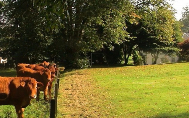 Lots Cottage