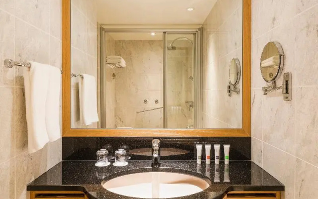 Swiss Executive Double room (풀 더블 침대) 사진 3