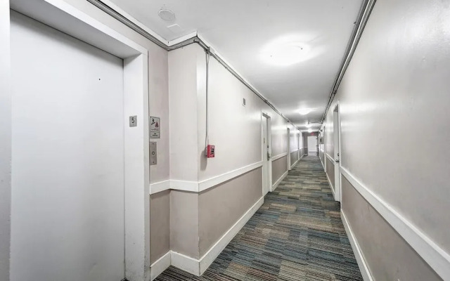 Ocean Dr 1BR Miami Beach Getaway