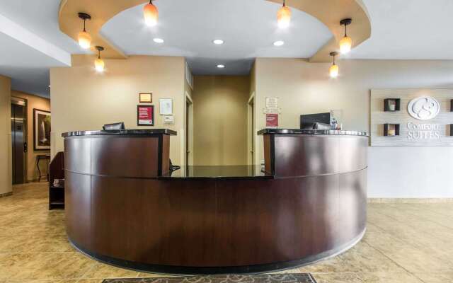 Comfort Suites Cullman I-65 Exit 310