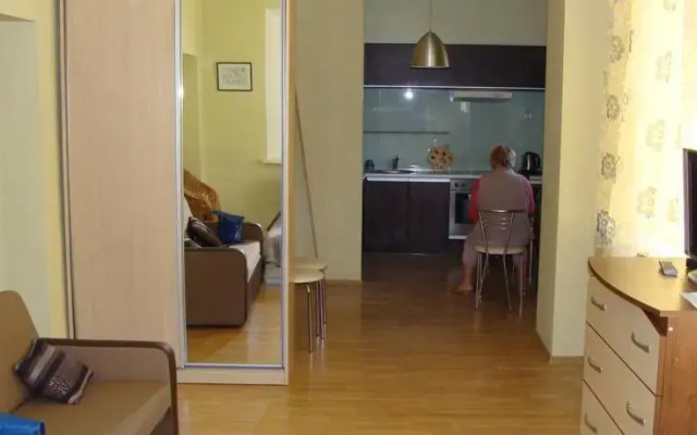 Aušros Vartų Apartment