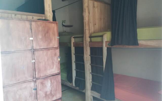 Tiki Lodge Bar & Restaurant - Hostel