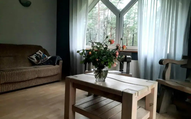 Atputas Vieta Braltirumi