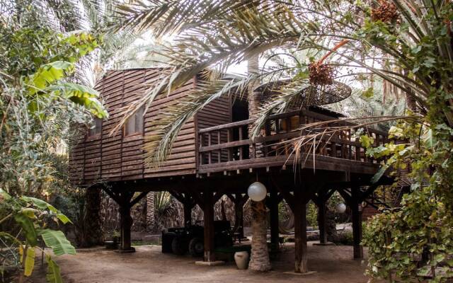 Hotel Diar Abou Habibi