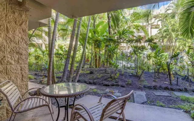 Wonderful West Maui Beach Suites