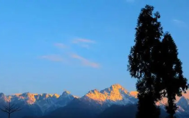 The Wild Flower Retreat