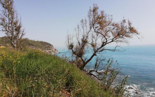 Residence Conchiglia