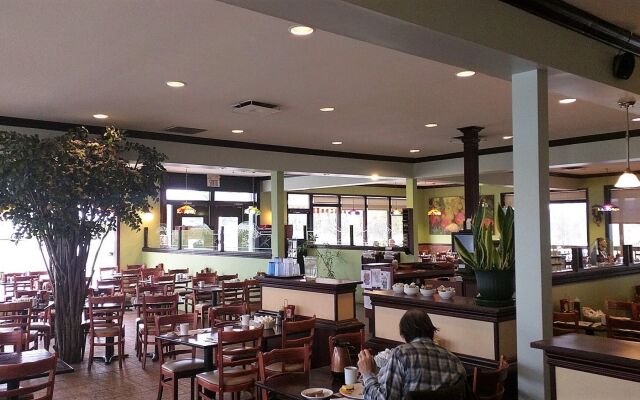 Quality Hotel & Suites