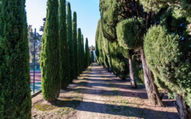 Renovated apartment in a 8 hectares park with a breathtaking view! - Apartment in Cannes - Photo 3