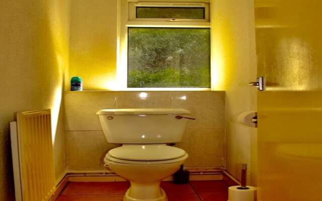 Sunny Apartment in Birmingham