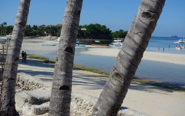The Sharks Tail Dive Resort