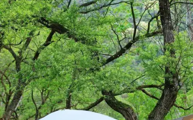 Tianmingshan Spa & Resort