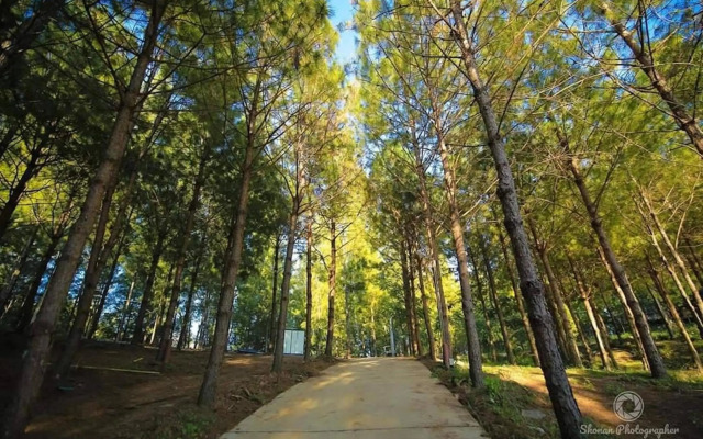 Villa PaSon (SHA Extra Plus)