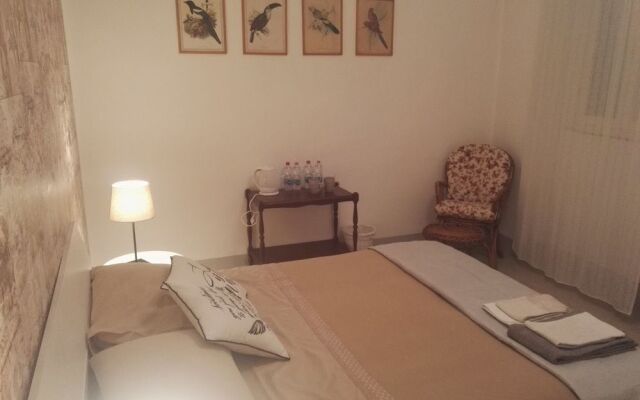 Camere Mazzini 49