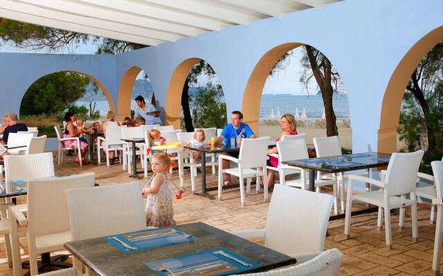 Domes Aulus Zante, Autograph Collection