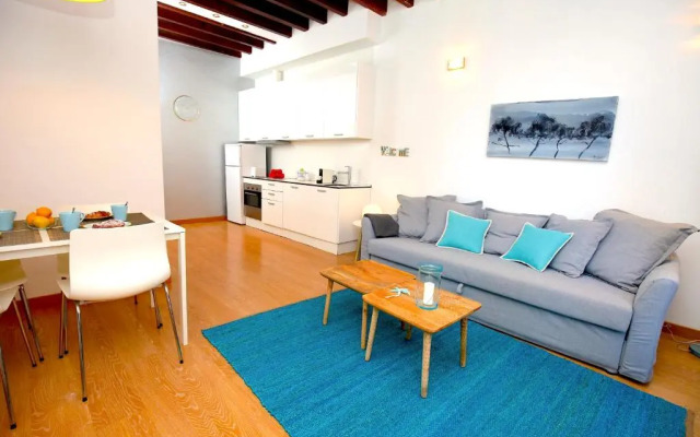 Sant Miquel Homes Penthouse