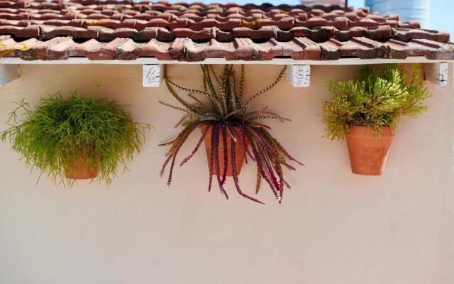 The Boc Hostels Palma - Albergue Juvenil