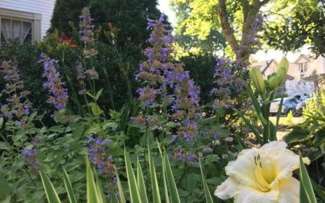 Black Boar Inn Ogunquit