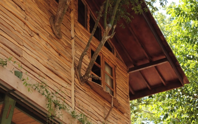 Roots Tree House