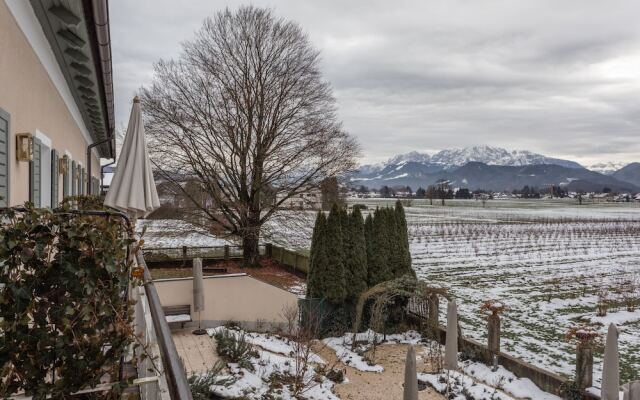 Numa Salzburg Ivy