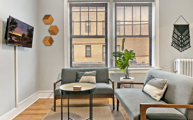 1BR Magnificent Apt in Belmont Chicago