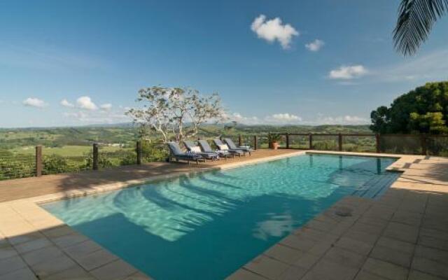 Cedia at Byron Bay Hinterland