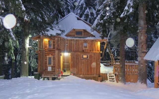 Lodge Between The Pine Trees