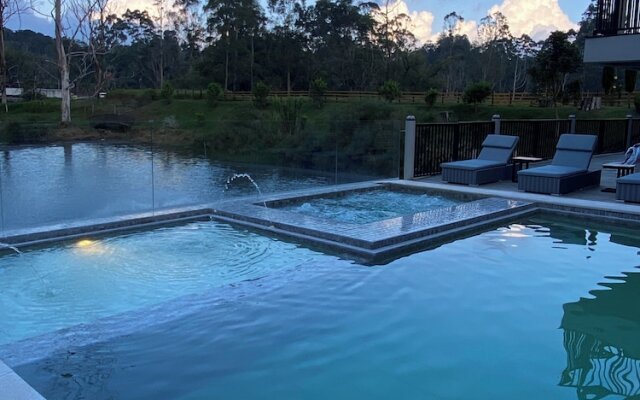 Monarch Campestre