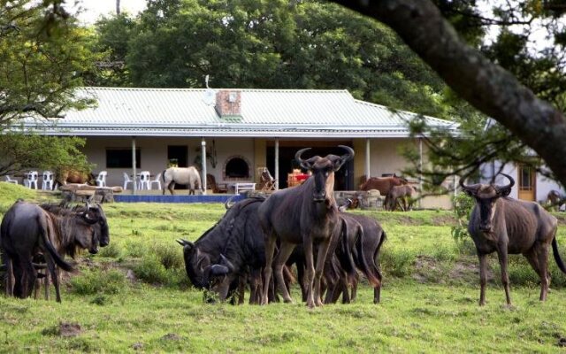 Santa Paloma Guest Farm