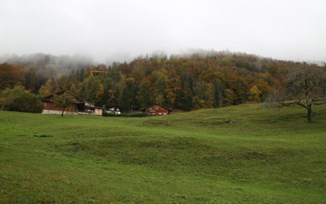 Hotel Lakeview bei Interlaken