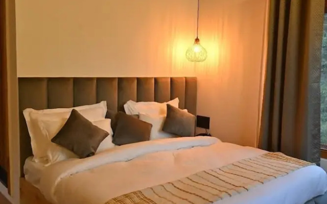 Silverfern By The Hillside