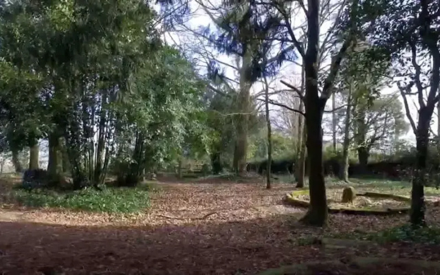 Hilston Park