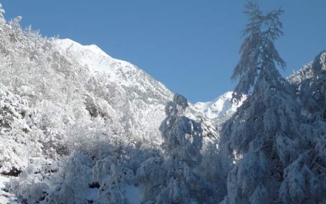 Apartamentos La Neu