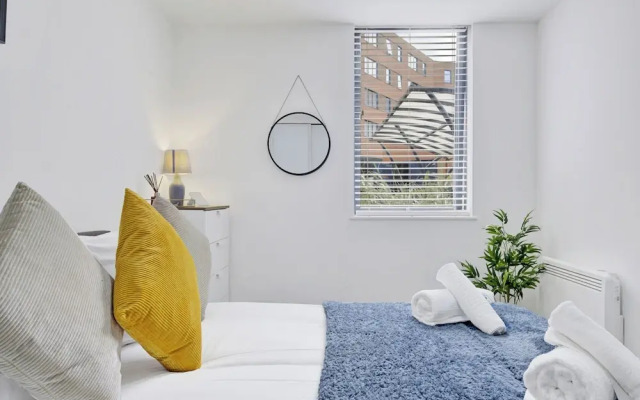 Cosy Birmingham Apartment - Madison House