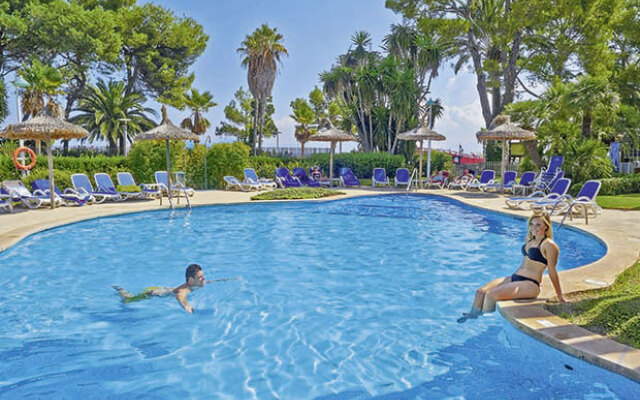 allsun App.-Hotel Orquidea Playa