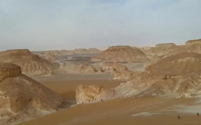 Desert Fox Club Camp