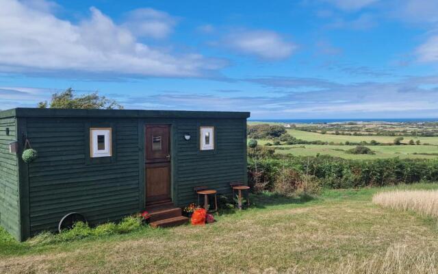Stunning 1-bed Shepherd hut