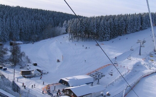 Cozy Apartment in Altastenberg with Private Terrace