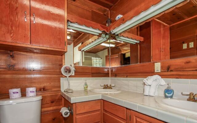Pine Forest Cabin