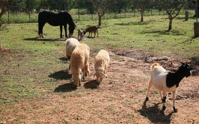 Case di Latomie Agriturismo - Turismo Rurale