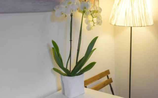 Romantic Nest in the Center/ Near Piazza Navona