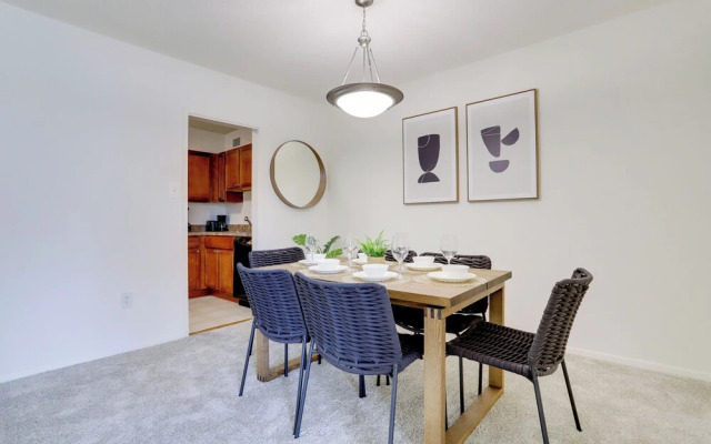 Comfortable Apt in Crystal City