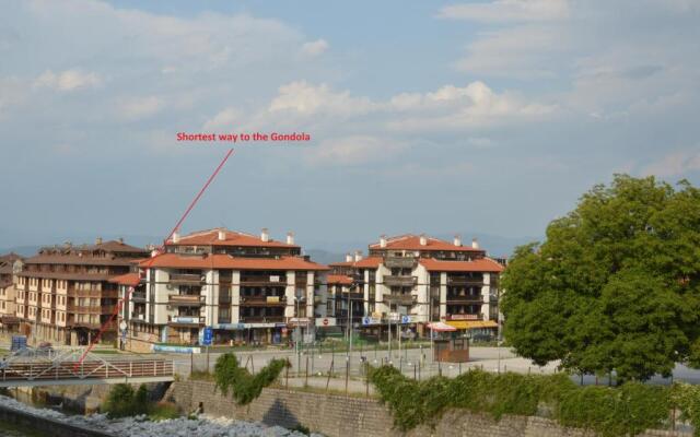 Pine Tree Apartment D34