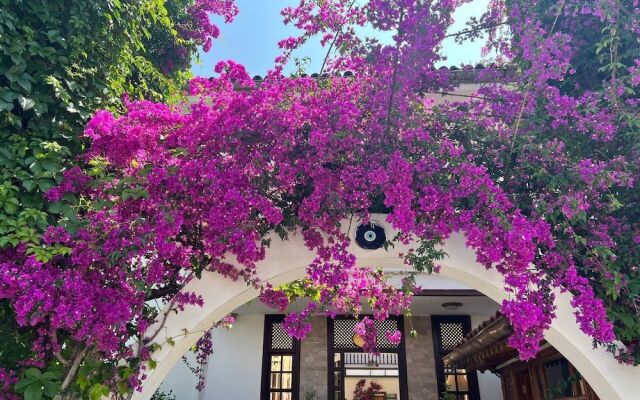 Palma Rosa Hotel
