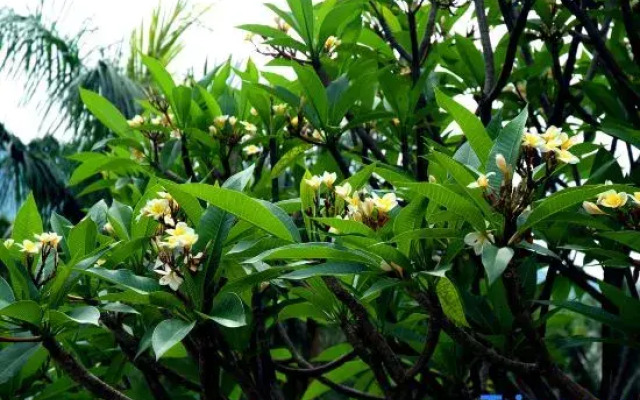 Nanmei Hot Spring Mountain Villa