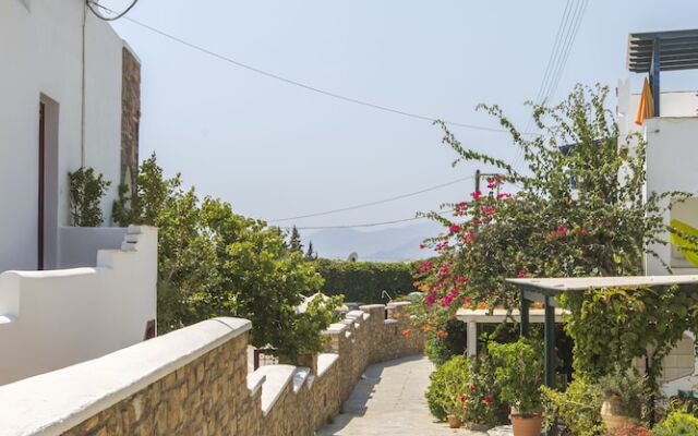 Golden Coast Naxos