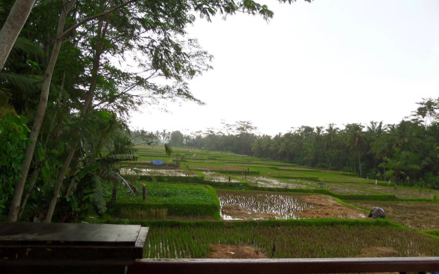 Inang villa